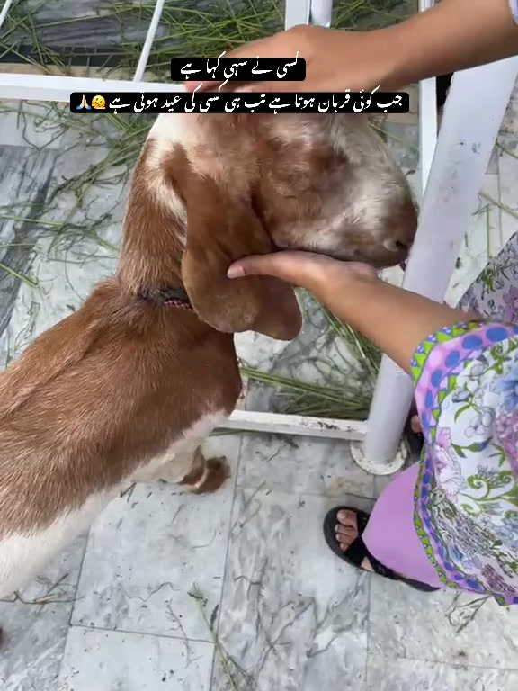 @mimi_clicks🫶