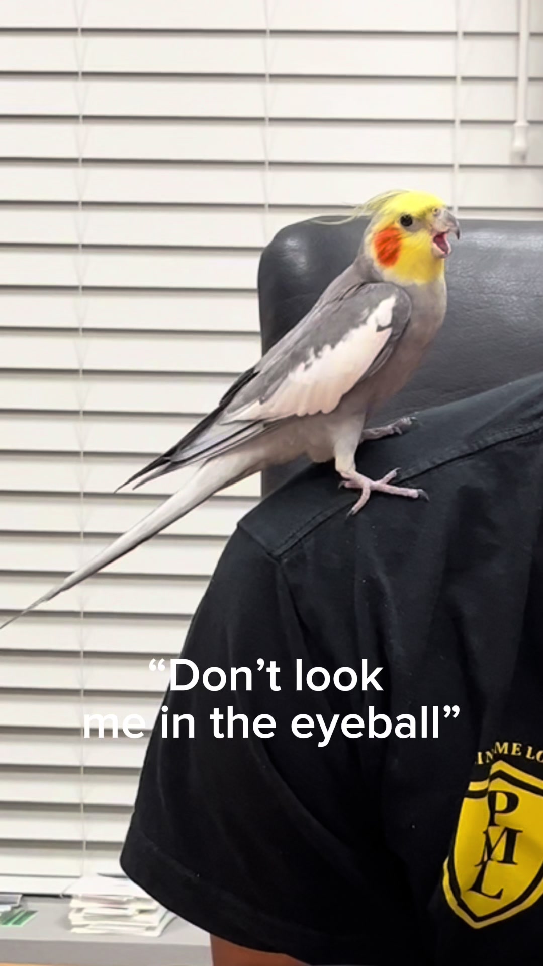 @Emery The Branch Manager
