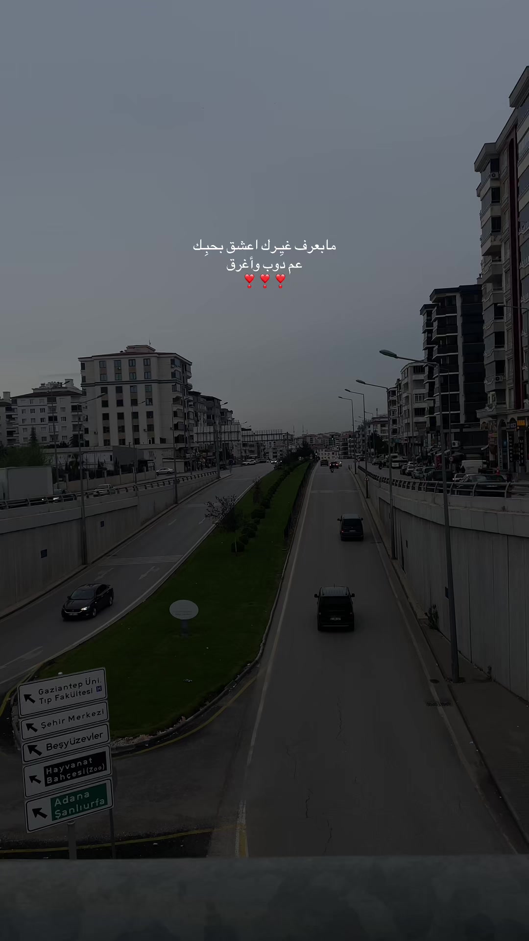 @,ِميري🦉
