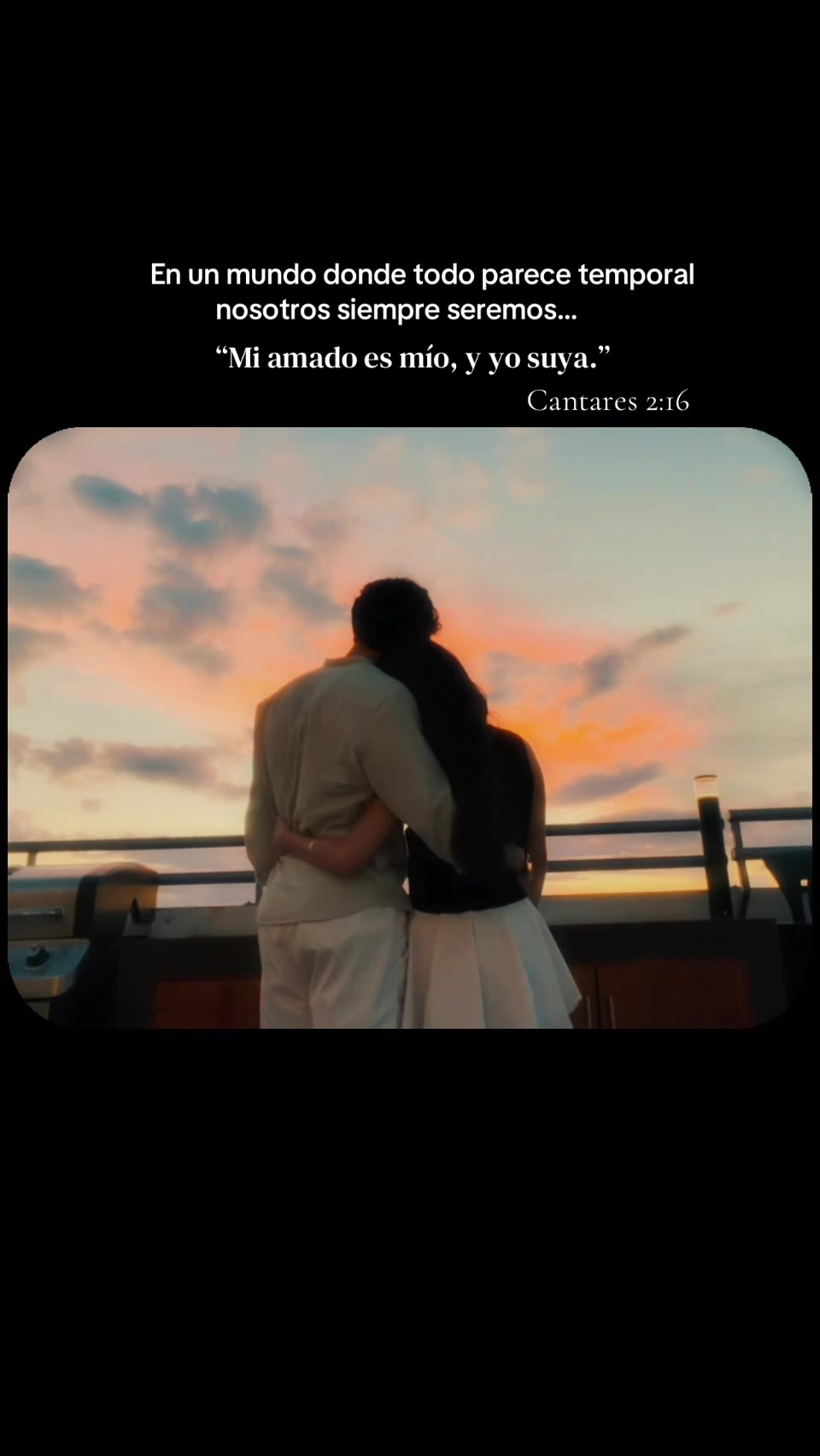 @Han 🌙