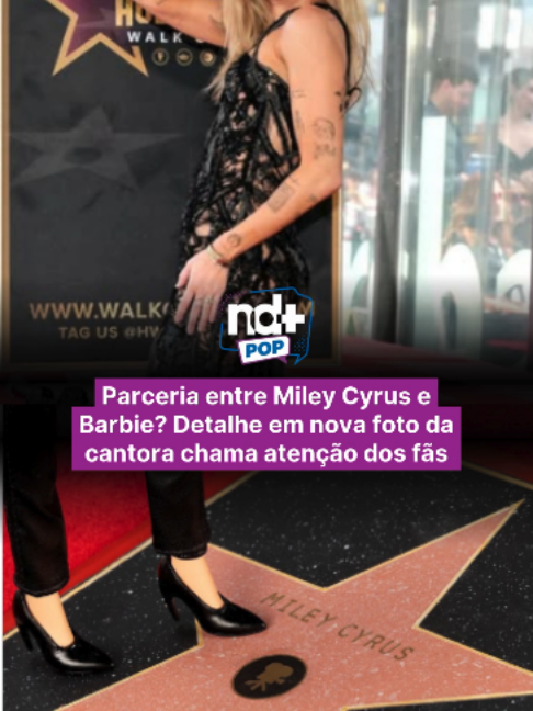 @portalndmais