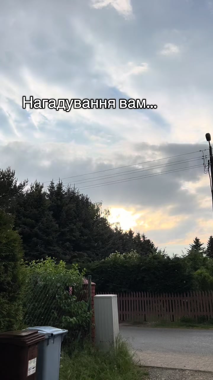 @mum.mushroom