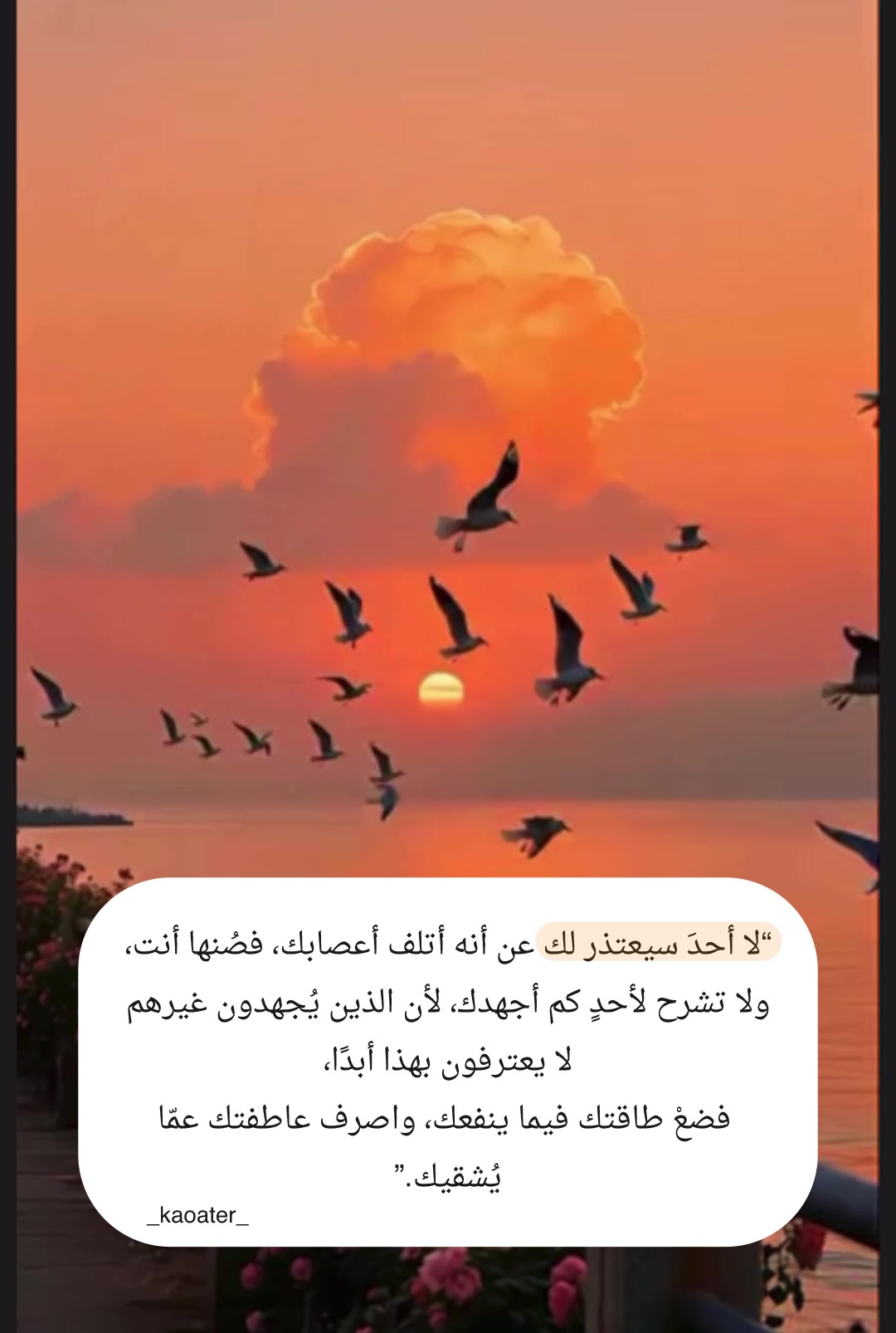 @خواطر مقتبسة 🕯️