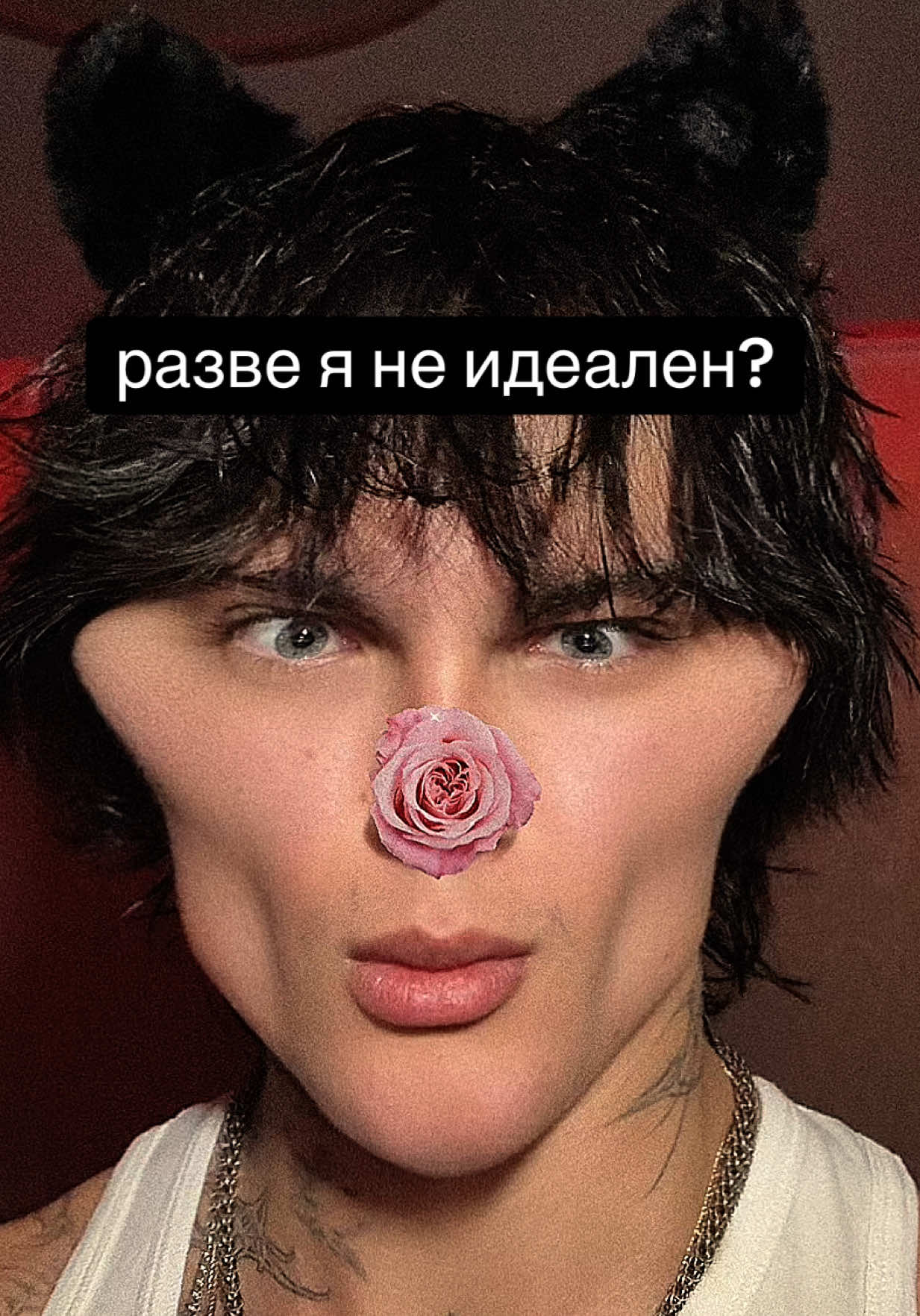 @кучу гайдов в ✈️ pepperonimogg