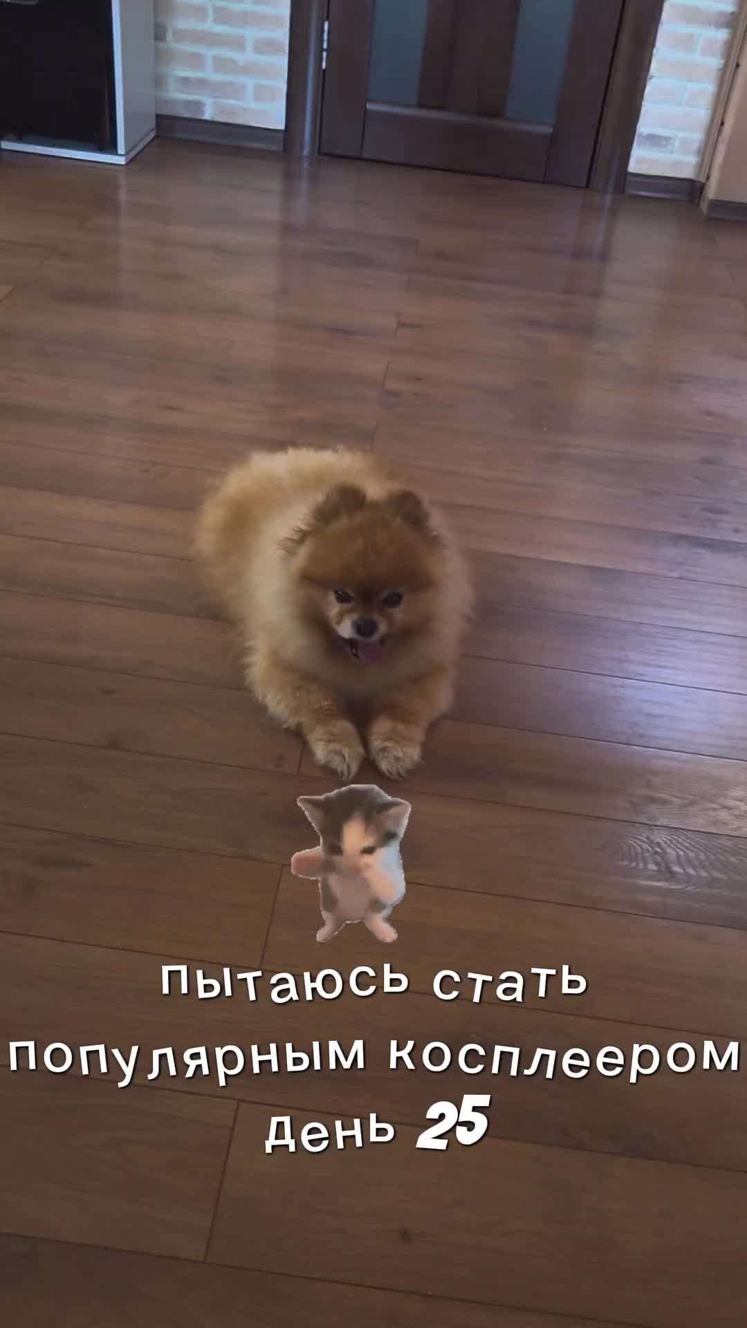 @L1_1ox (Лив лох) @