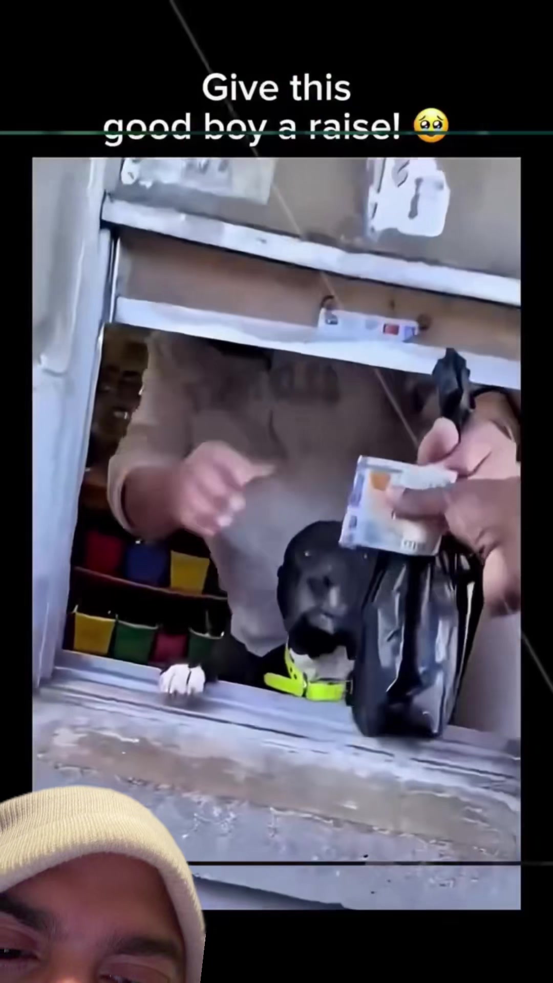 @mickystickey