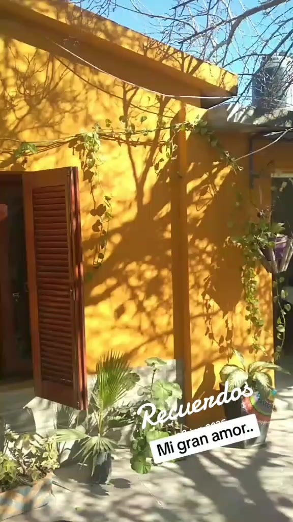 @ca&ntilde;ita 1981