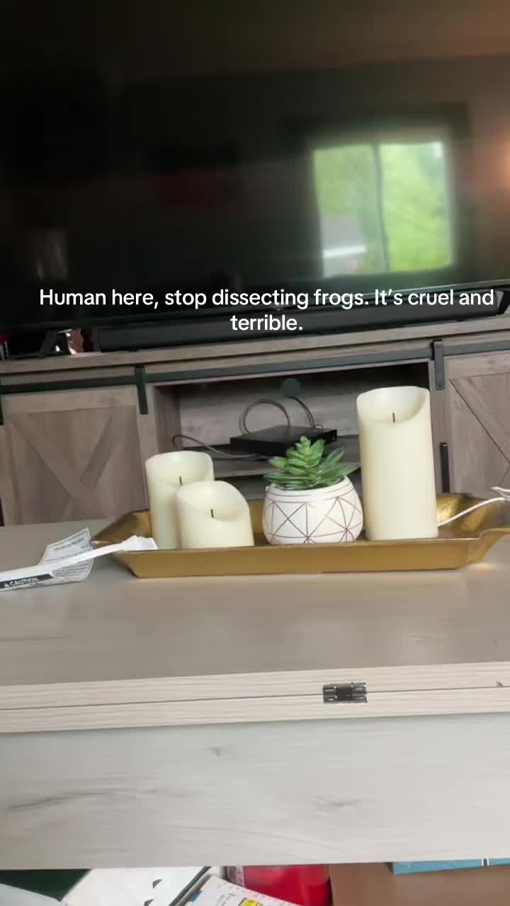 @Freddy_theFreakyFrog