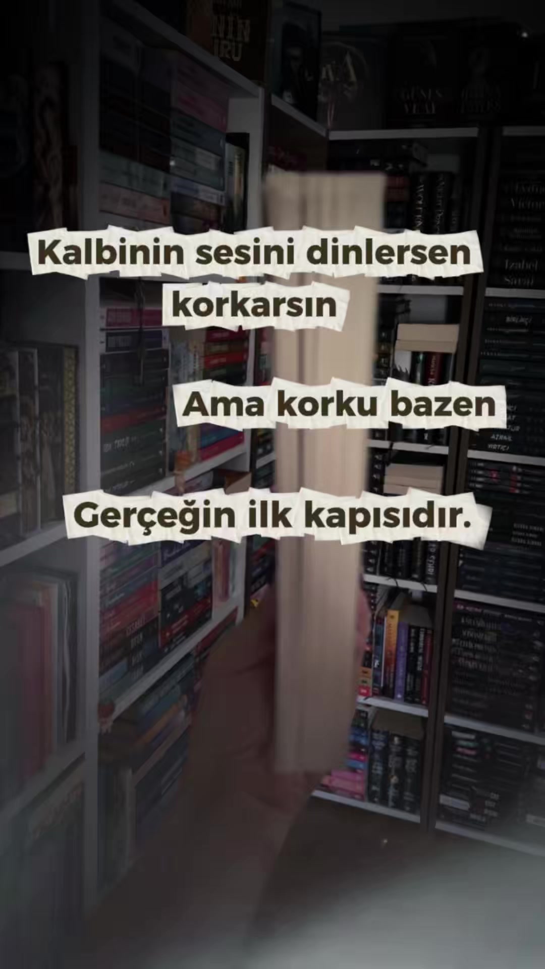 @bittenbyspicybooks