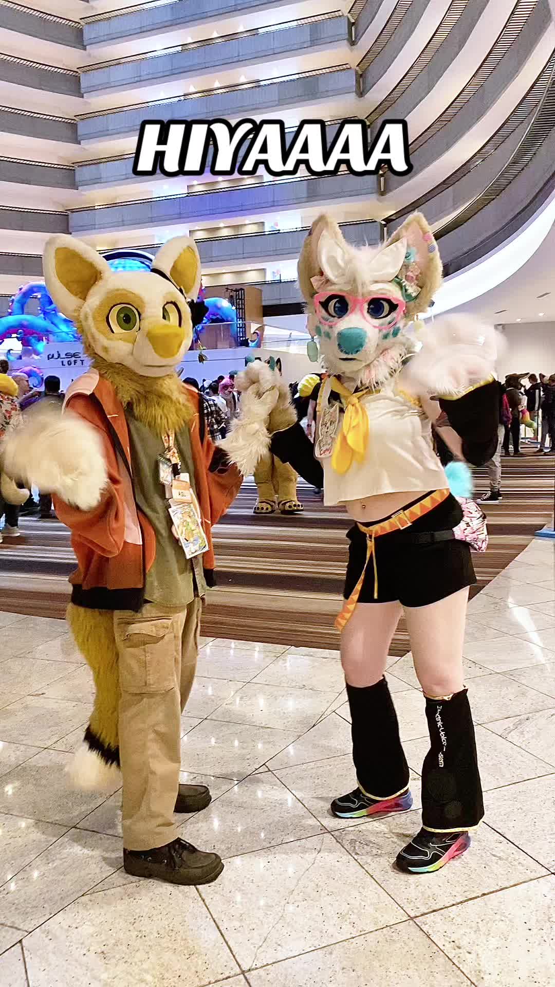 @CC the Corgi ๐ญ