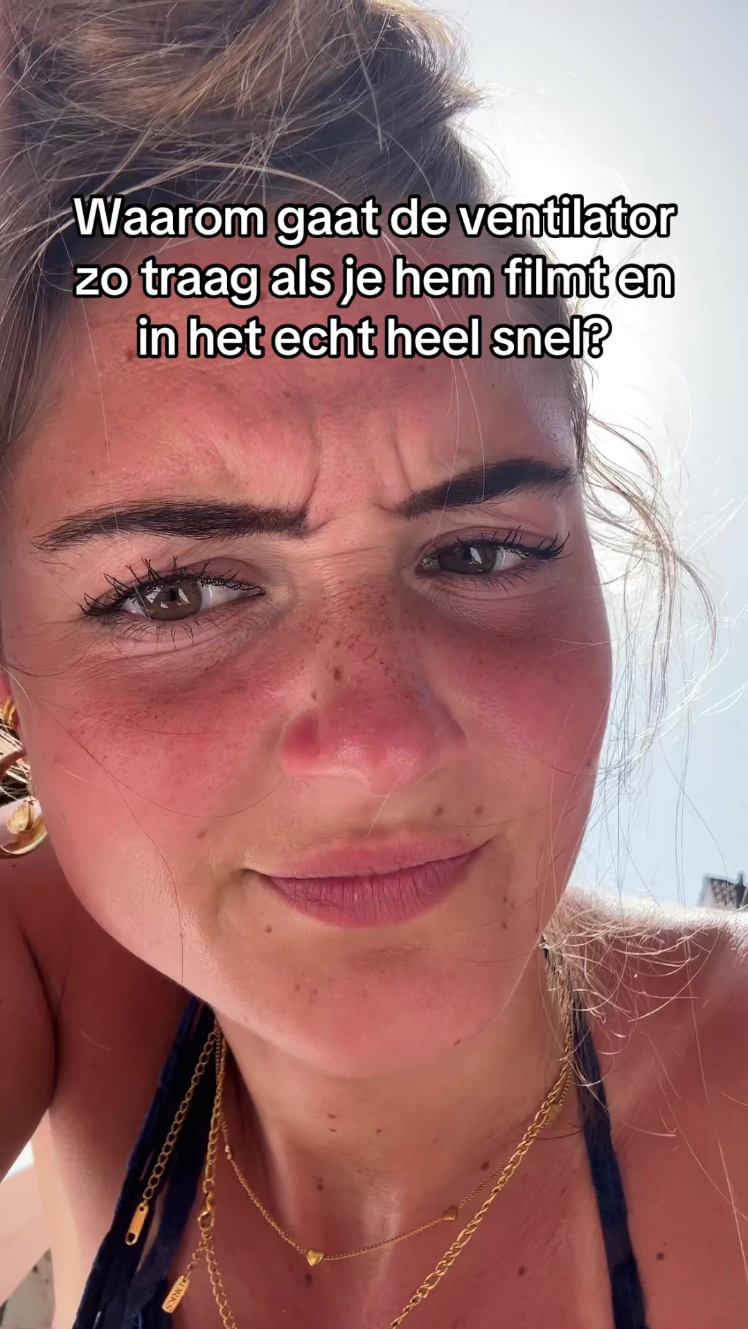 @elana.engel