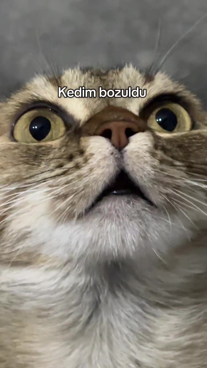 @Gizem Çetin🪬🤍