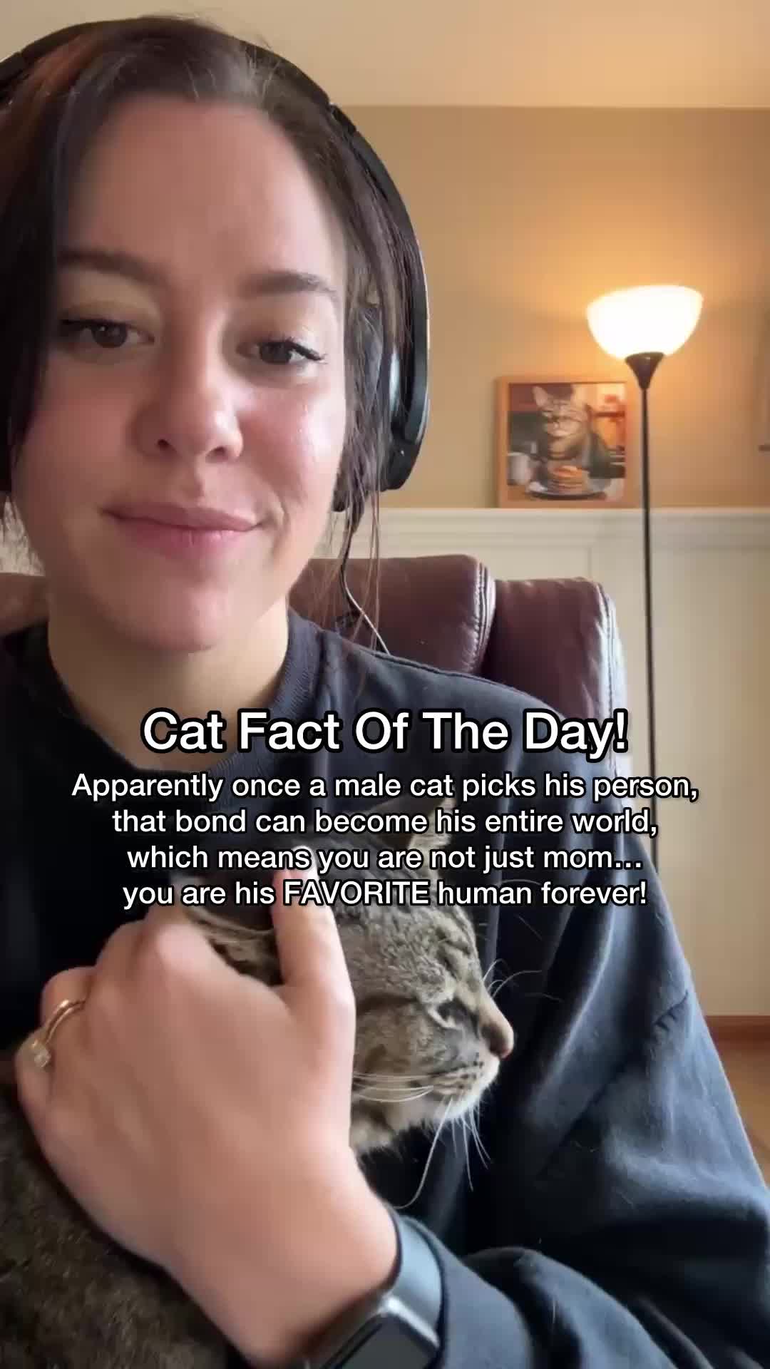 @Chip The Manx