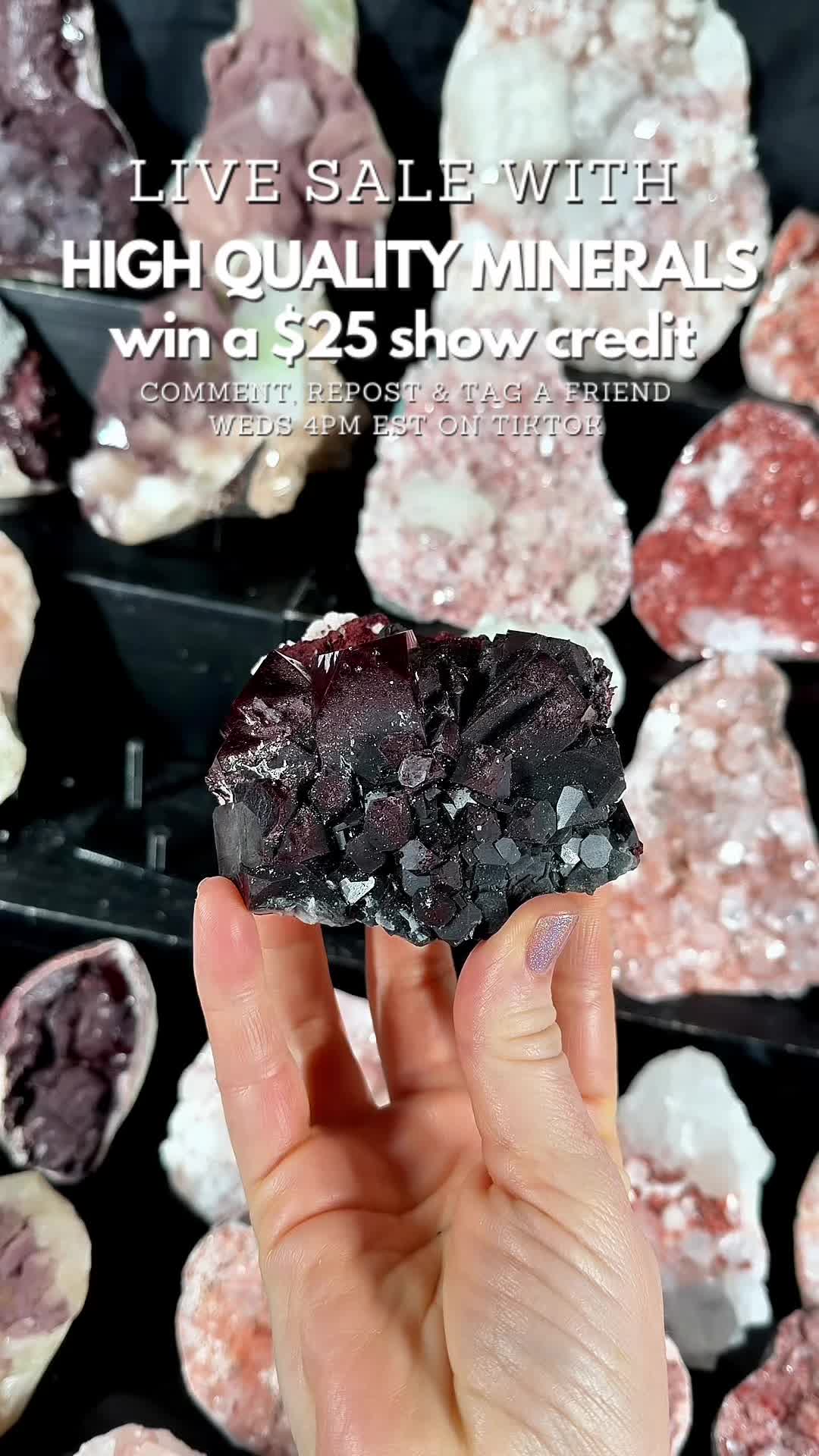 @Crystal Live Emporium✨Natalie