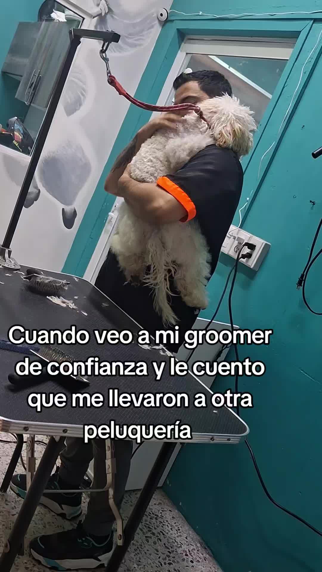 @erika