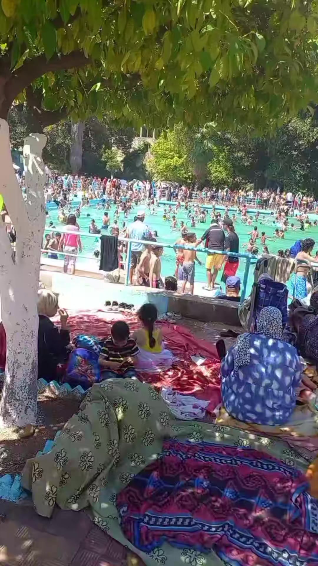 @🇲🇦ولد الصحراء🇲🇦