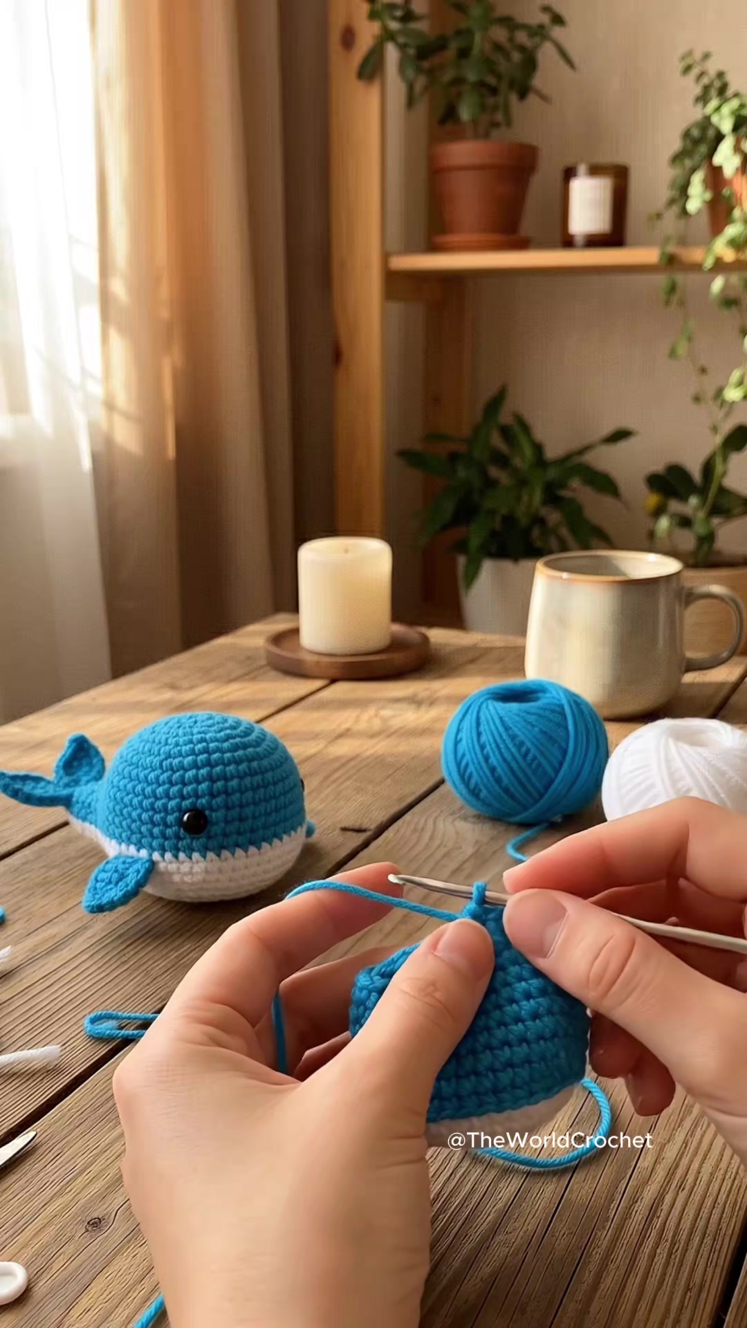 @The World Crochet