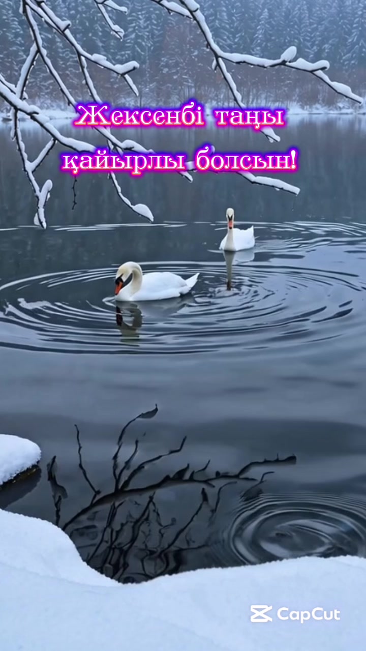 @Almagul