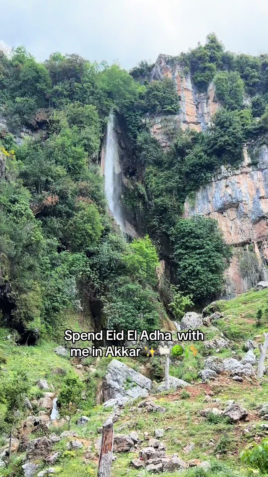 @Faten Nagib
