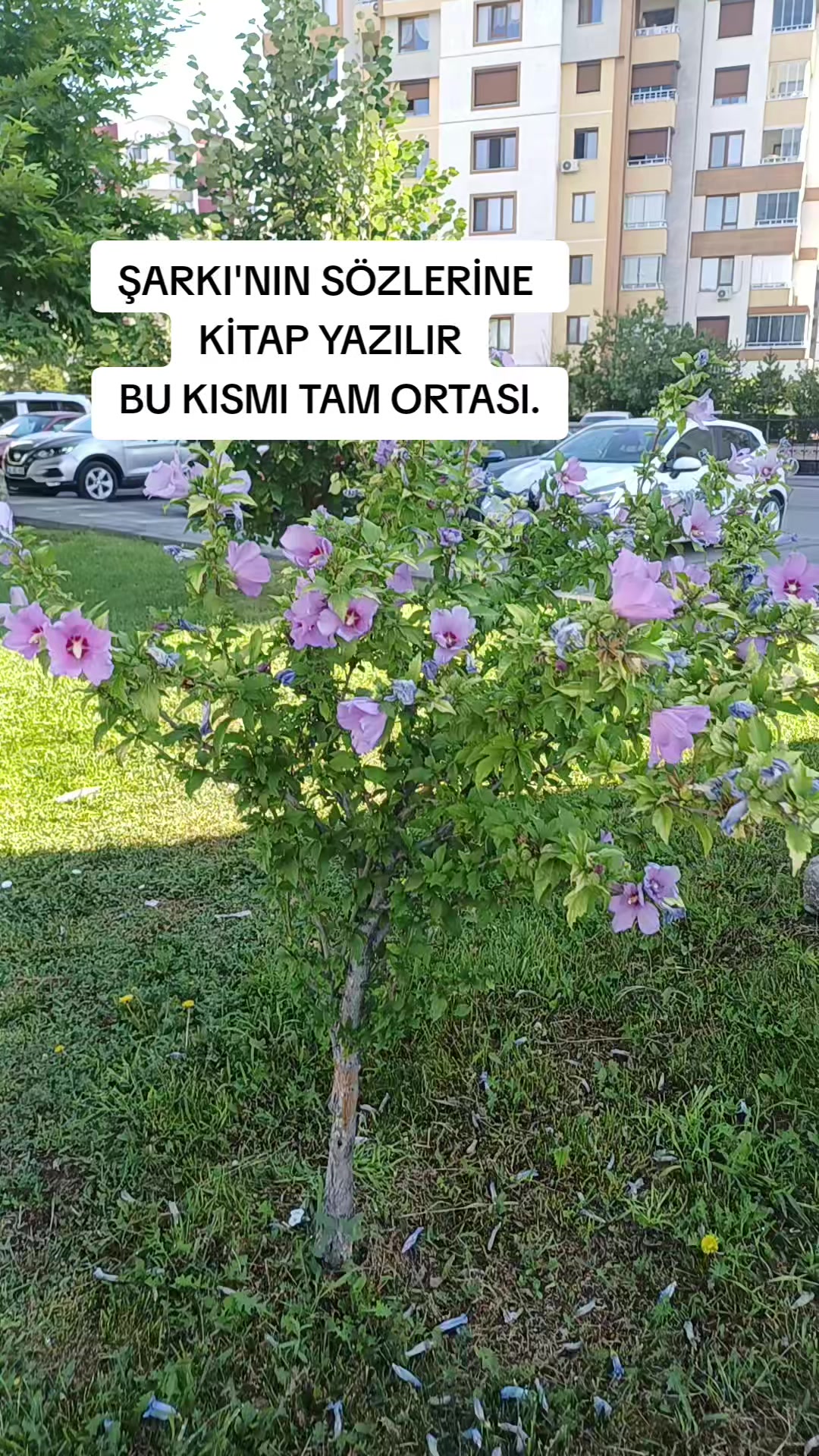 @zesegu38