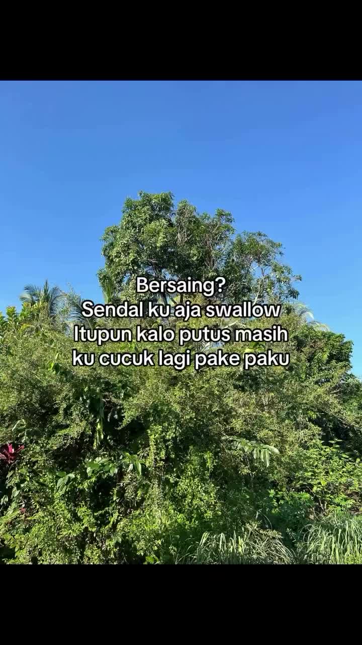 @AMIRA Shazia