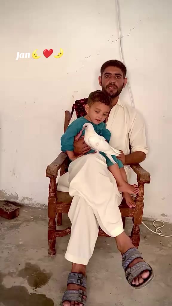 @عاقل خان باڑے آلہ