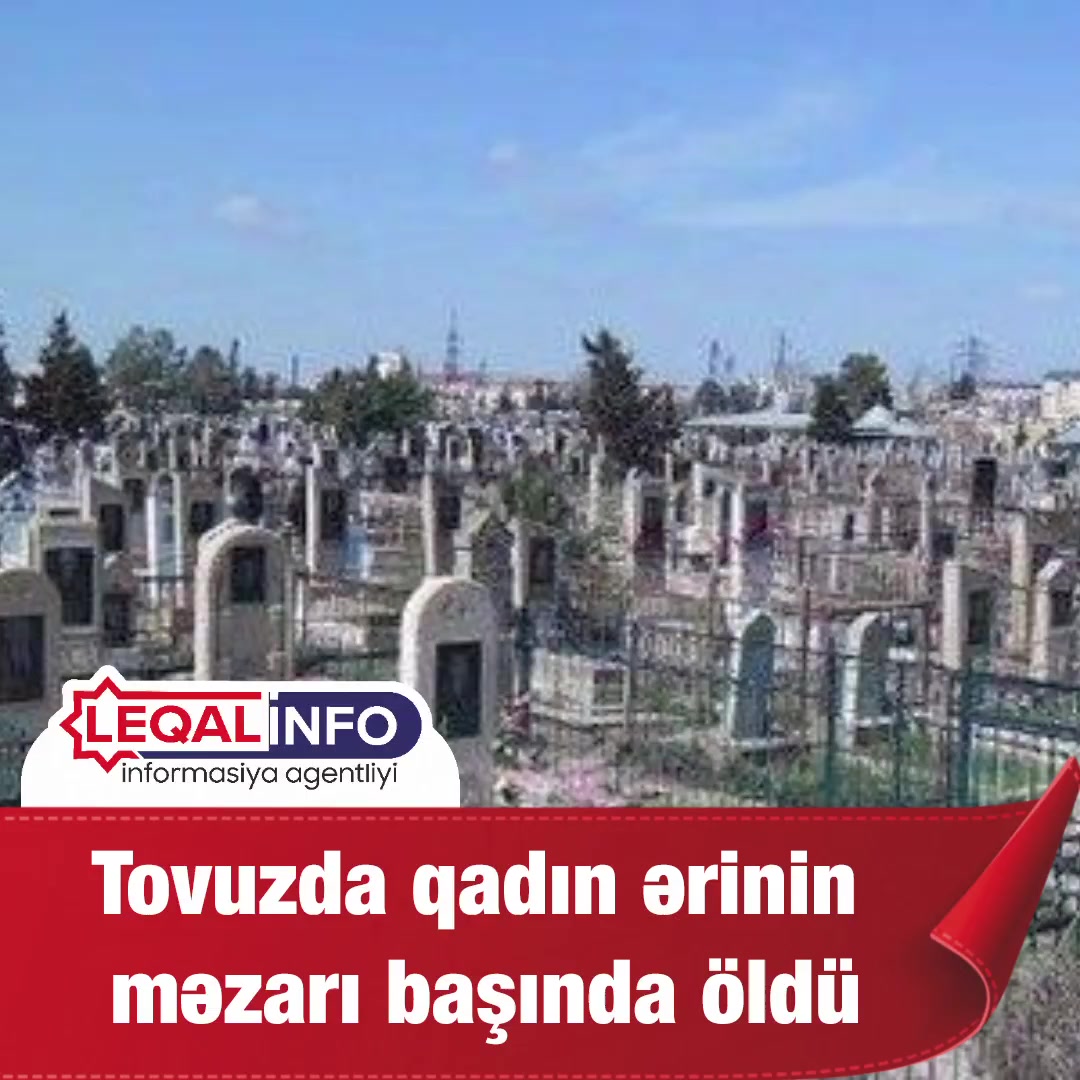 @leqalinfo