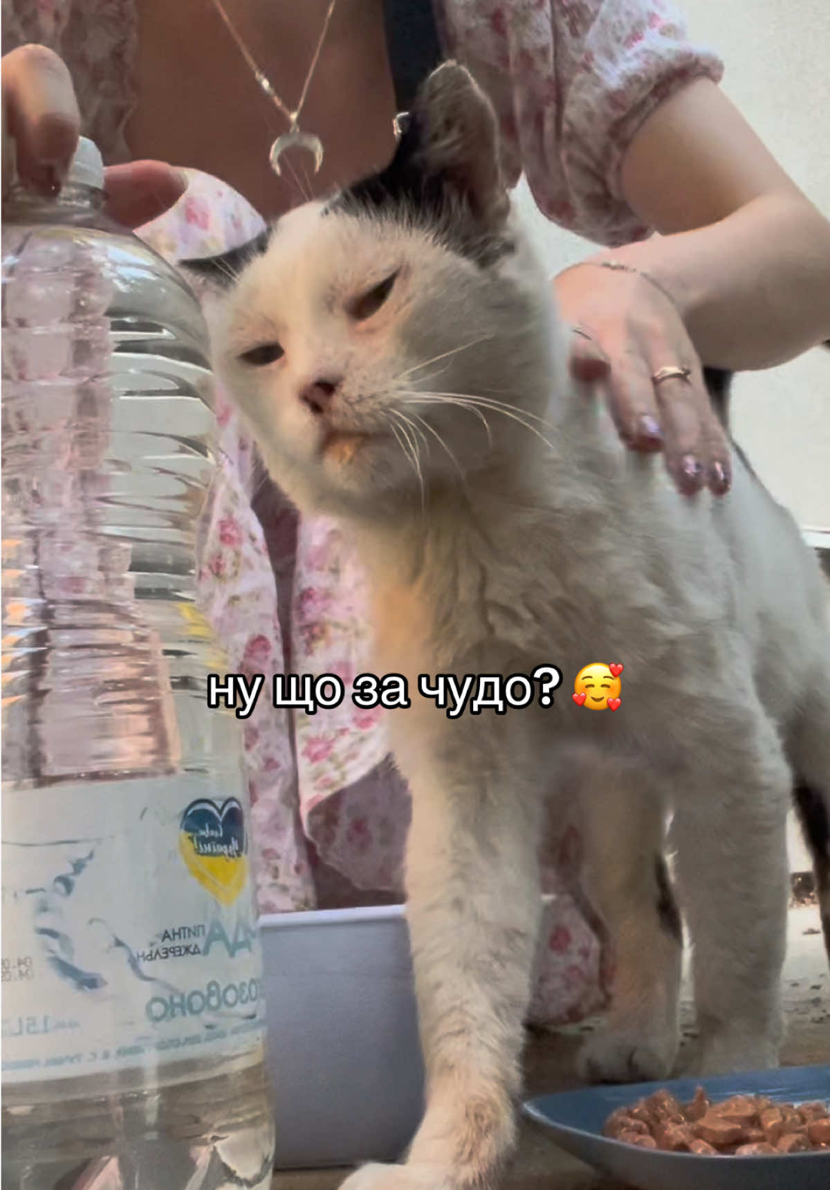 @ВіКЕНТіЯ ЧИТАЄ 📚🐒