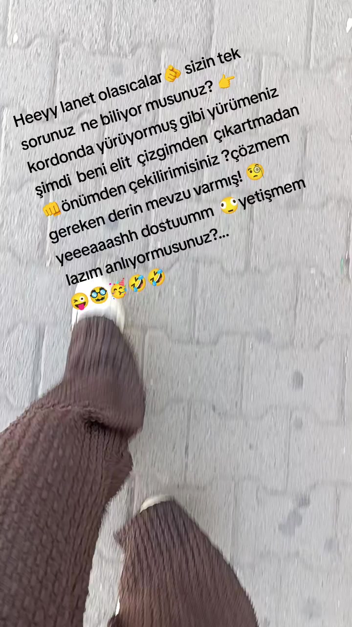 @&ccedil;ılgınveasi3