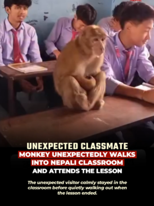 @Today's Nepal