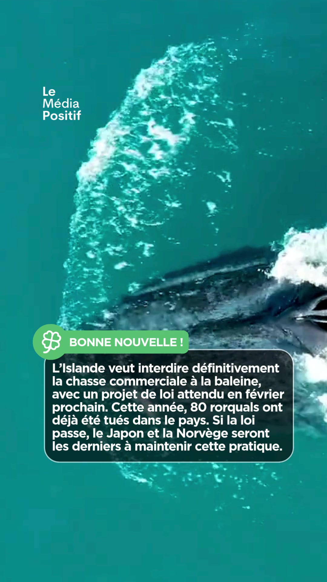 @Le Média Positif 🍀