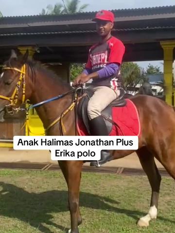 @Subdepo Arabian Park