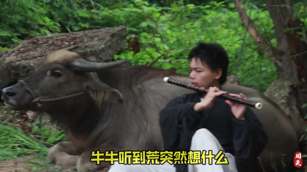 @🎋爱竹笛 Đam Mê Sáo Trúc 🪈