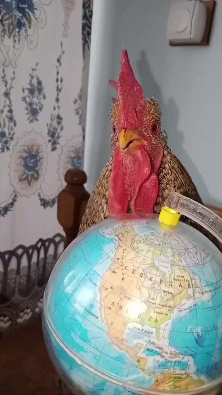 @exe.shitposte