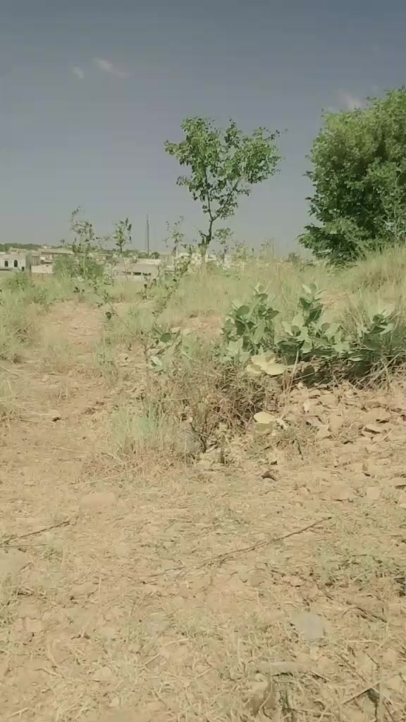 @Maan ji