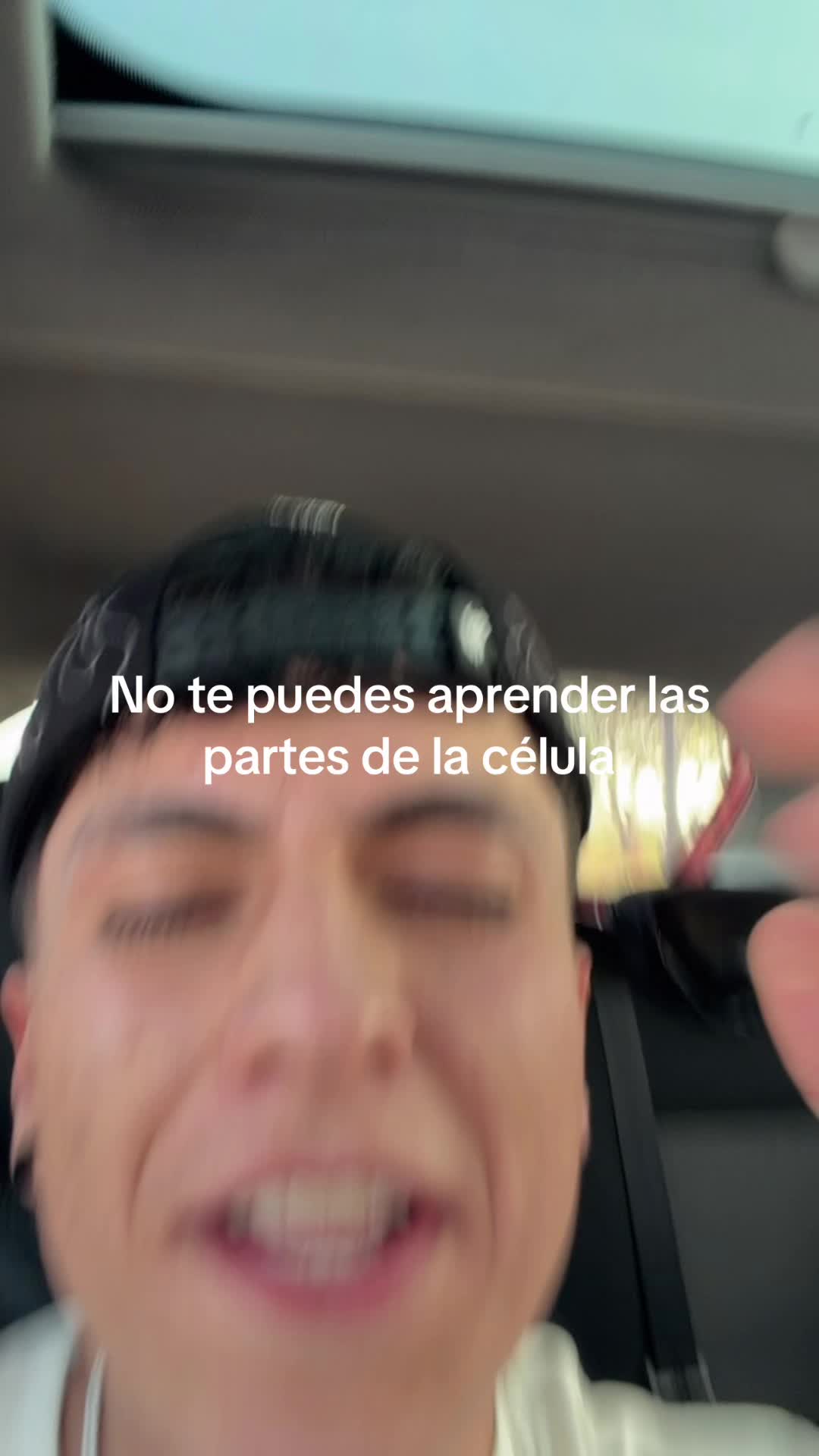 @ENDOBOY