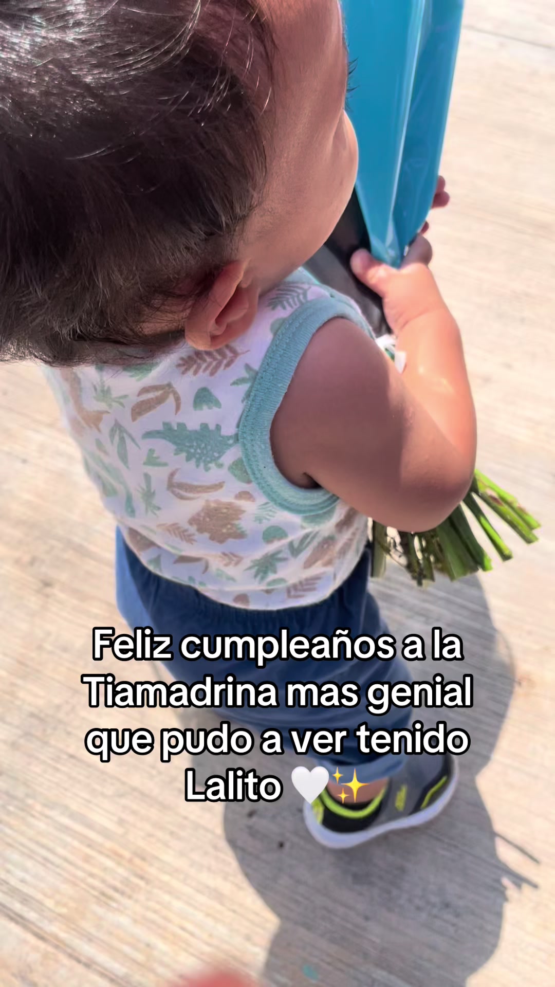 @Casita0