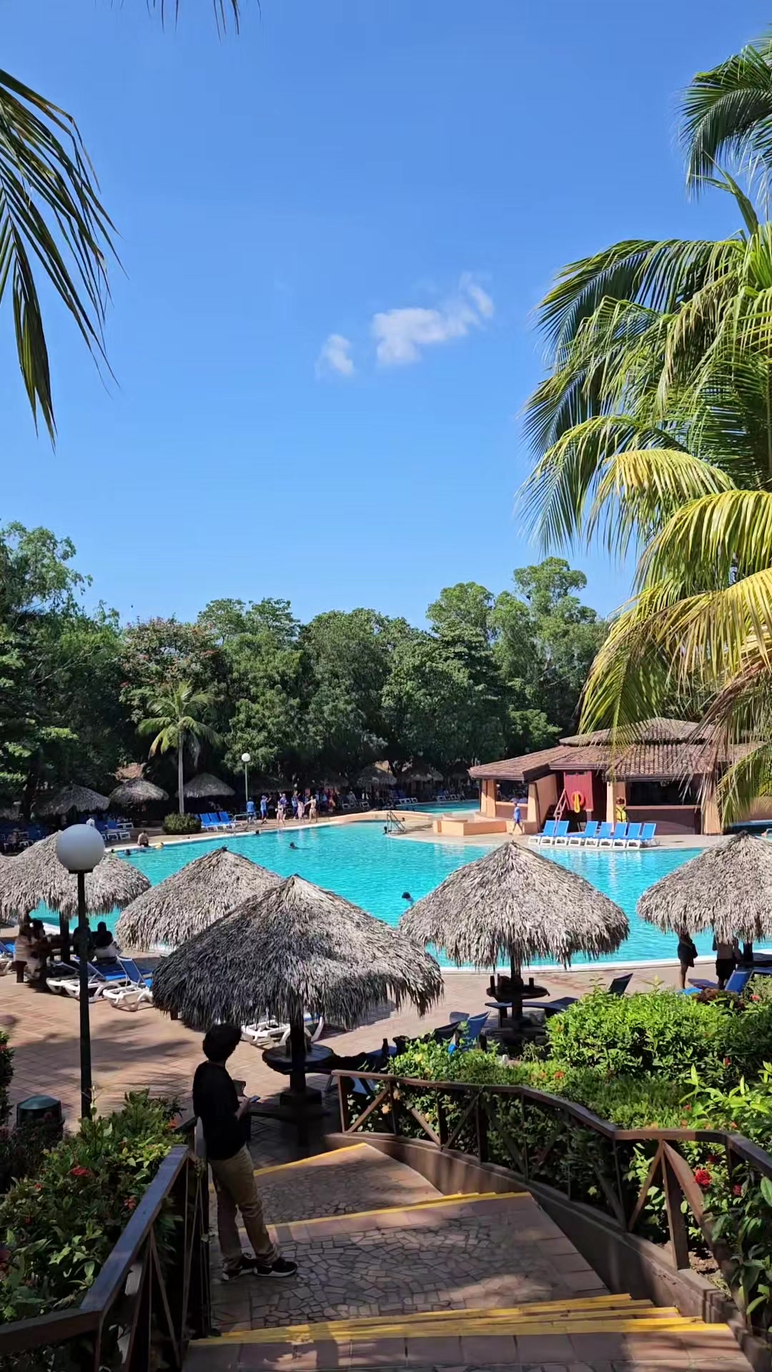 @Agencia Montelimar 🌊☀️🌴