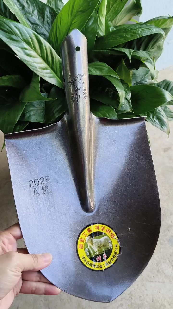 @Nguyễn Thiện Nh&acirc;n
