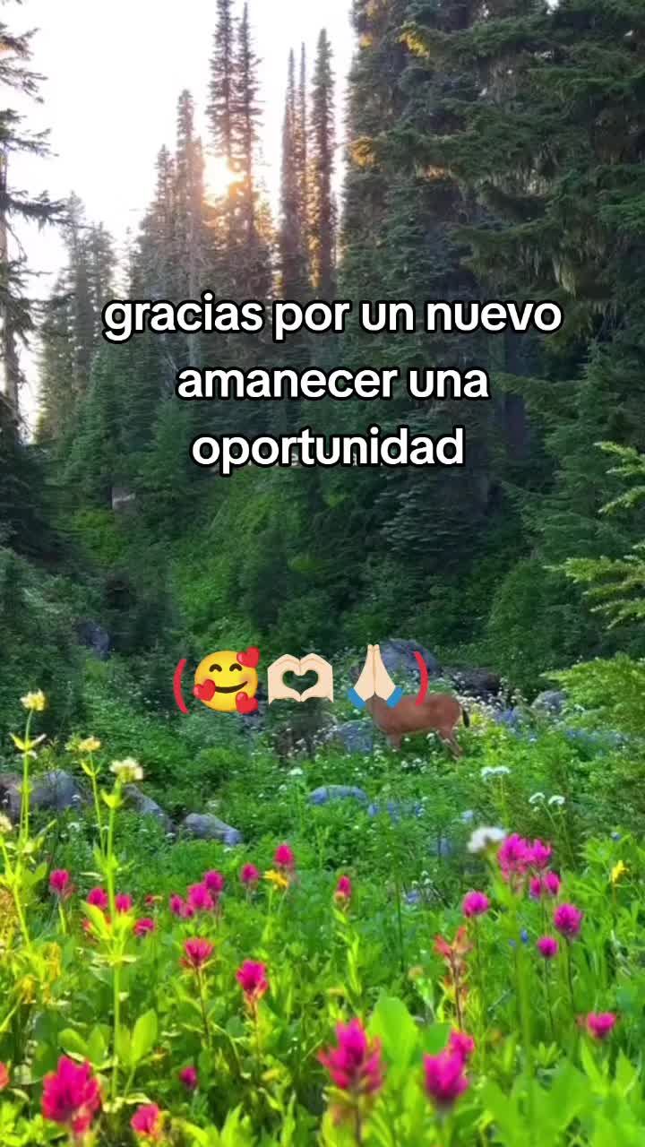 @Luzcesitaperez