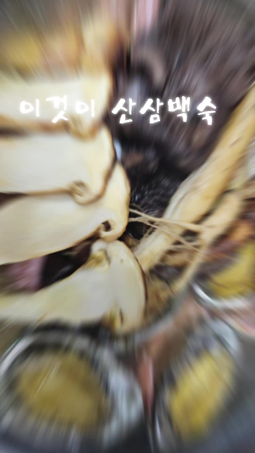 @🦜막끌리네🦜