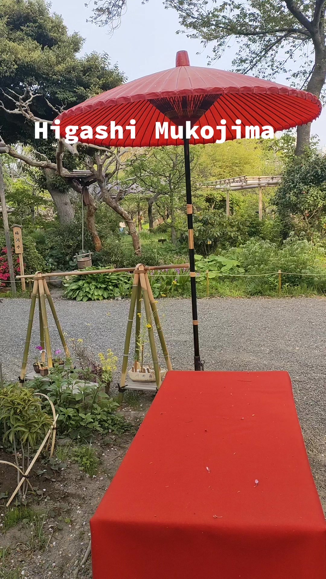 @beauty & mystery of Japan