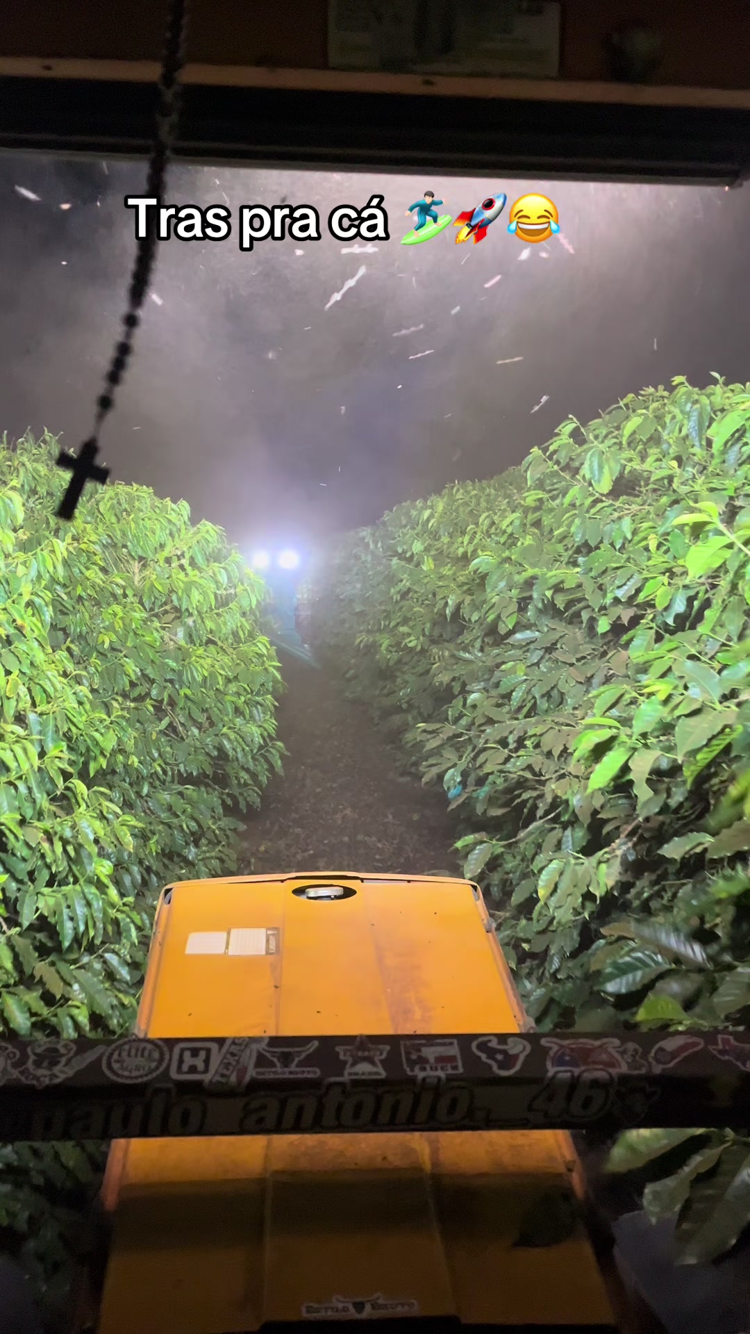 @Paulo Antonio 🪶🇧🇷