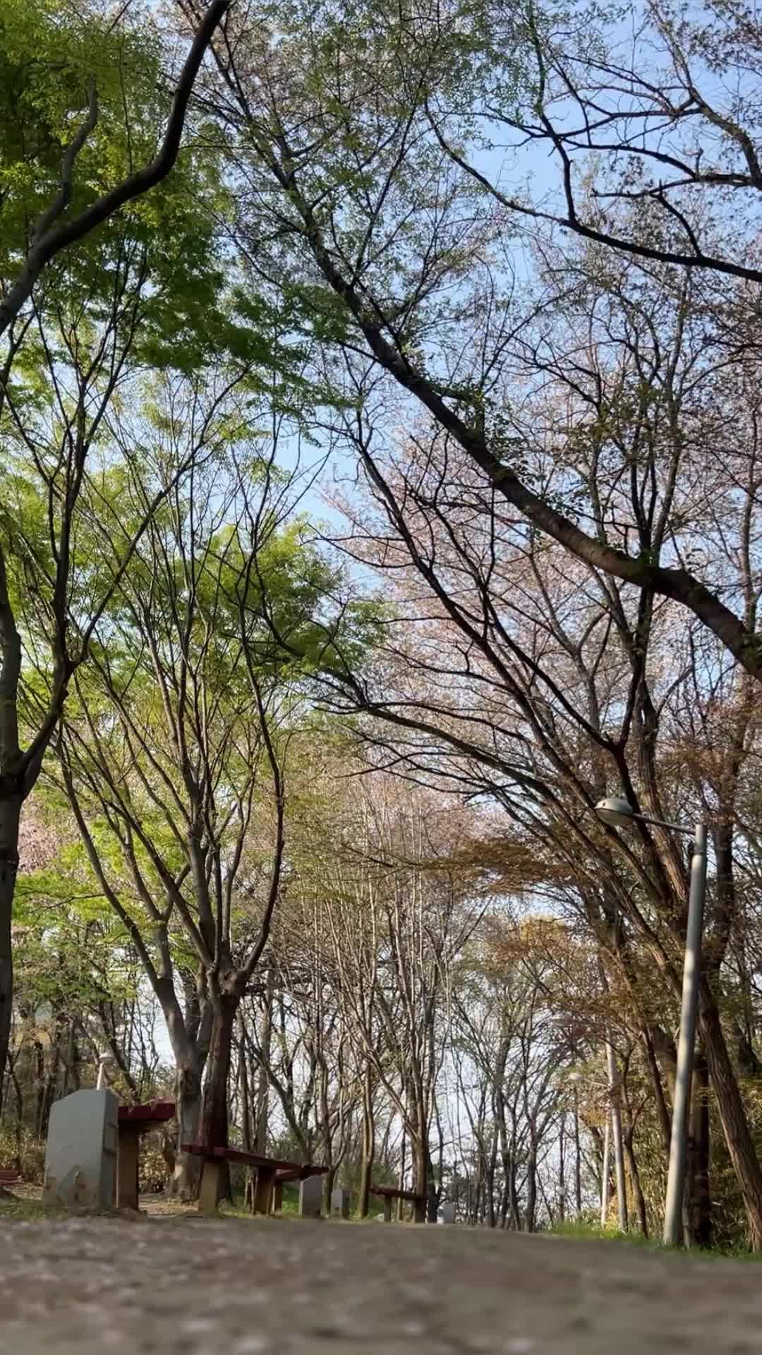 @ZenTashi 🤍