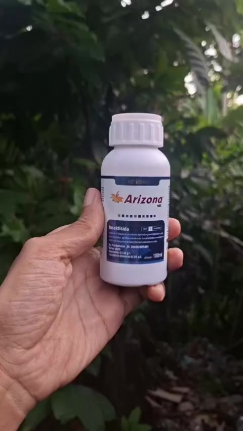 @koliang81