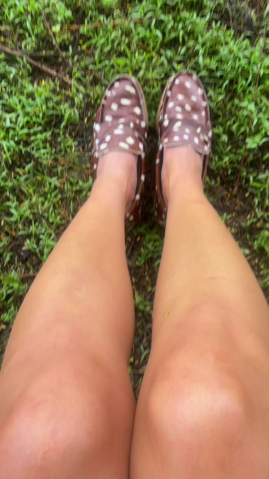 @Zapatos Syslaffitte
