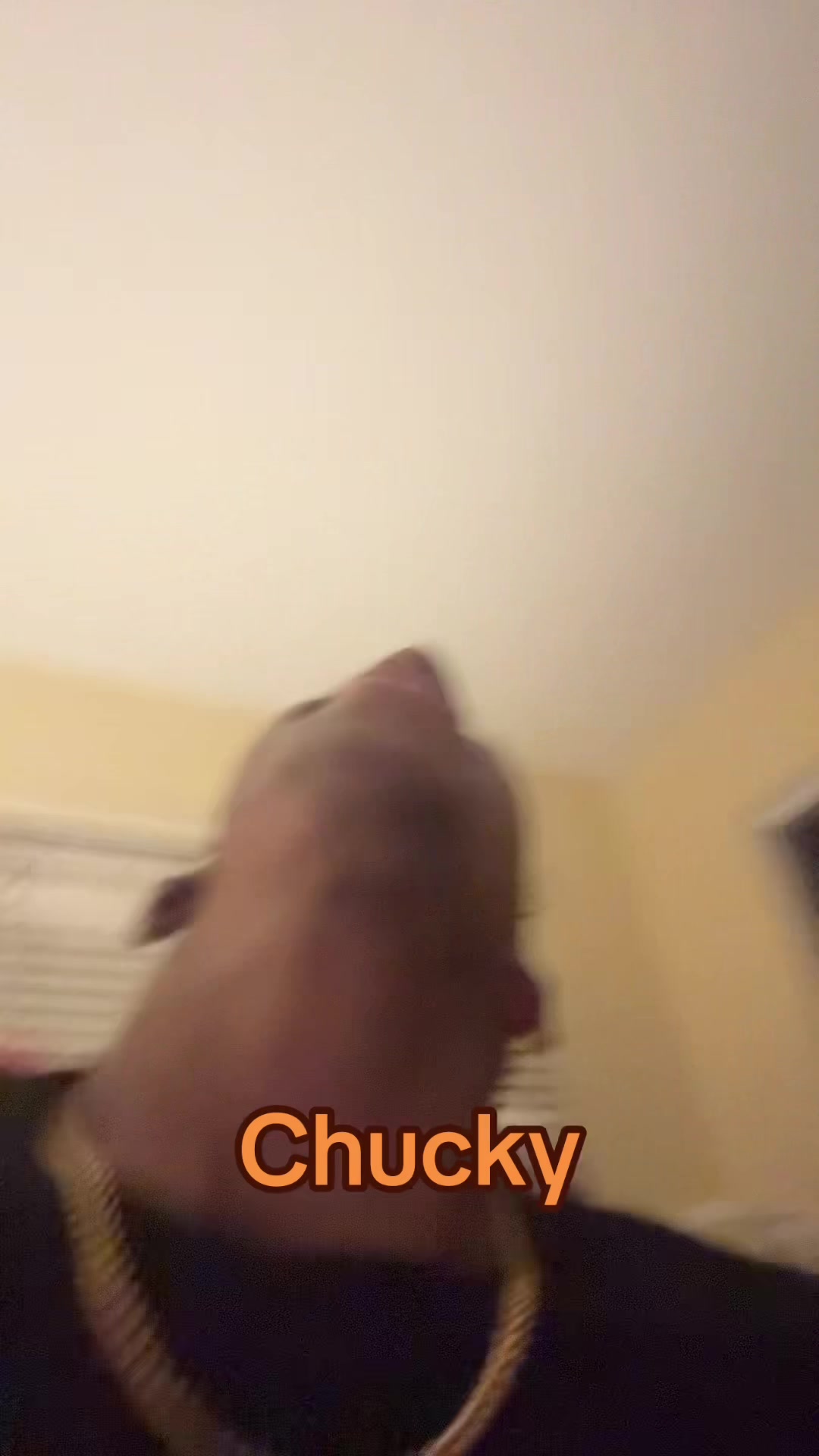 @kingbrandon277