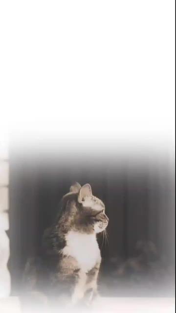 @ðŒðð®ðð¡ð¢ð«_ðð«ð¢ðð¬ð¥ðïž