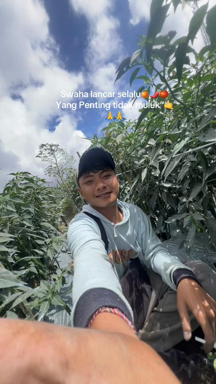 @Anakpetani🍊