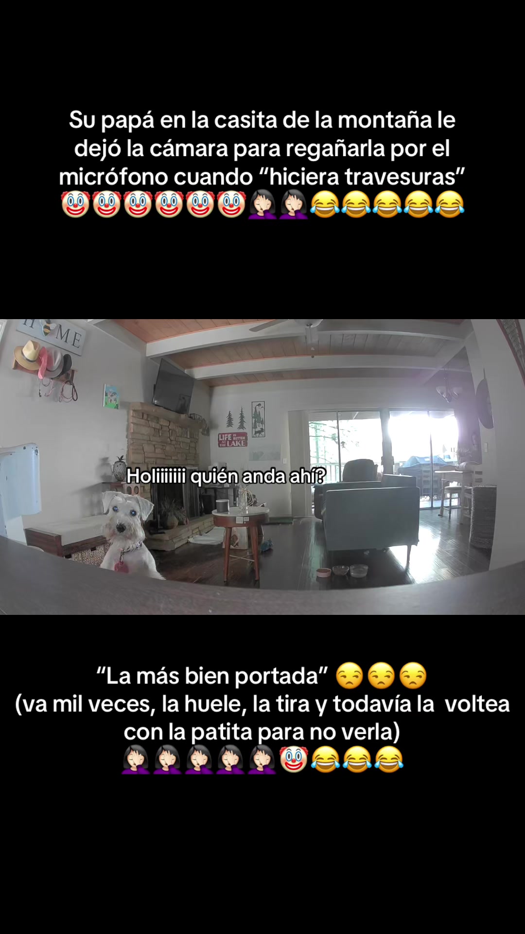 @aciremr